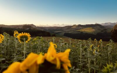 Vom Alltag zum Gipfel: Wie der Blick auf Eiger, Mönch und Jungfrau mich verzauberte
