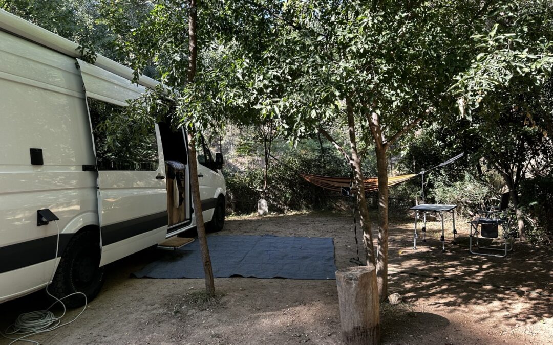 Ein toller Tag, um ein toller Tag zu sein!