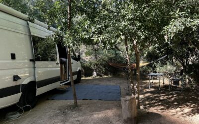 Ein toller Tag, um ein toller Tag zu sein!