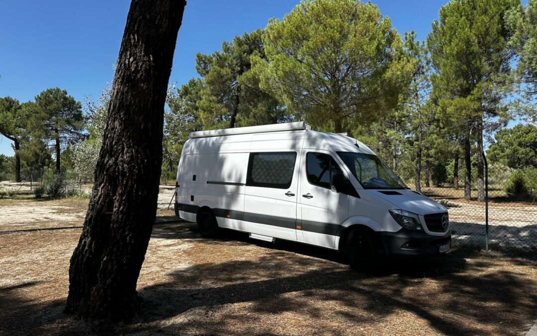 Mitten in den Pinienwäldern von Coca