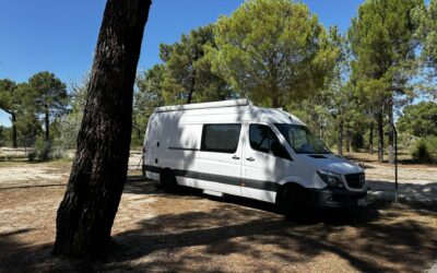Mitten in den Pinienwäldern von Coca