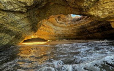 Besuch, Arbeit & Delphin Ausflug 🤗