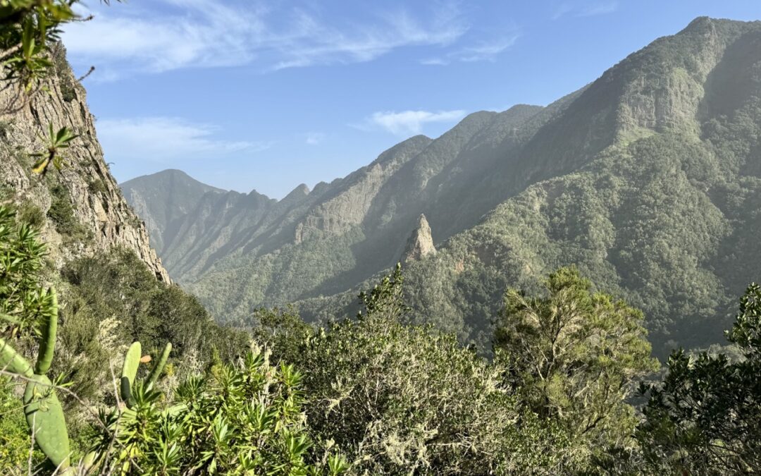 Großes Update nach zwei Wochen Ruhe… 🫣