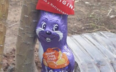 La Gomera & der Hippie Strand