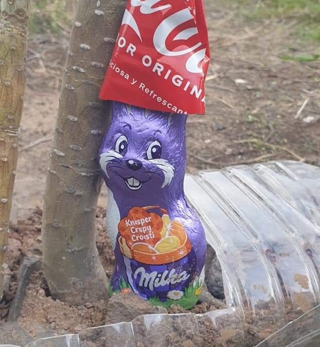 La Gomera & der Hippie Strand